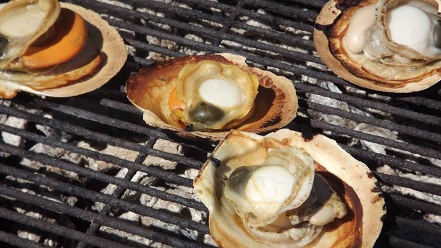 Des moulesen coquille sur le grill