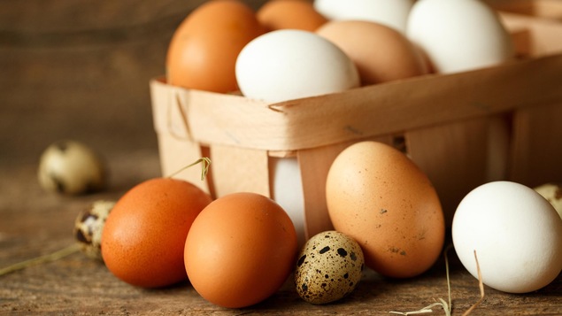 Des oeufs de toutes les couleurs