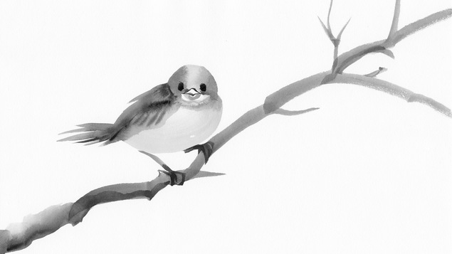 À son plumage, on reconnaît l'oiseau.