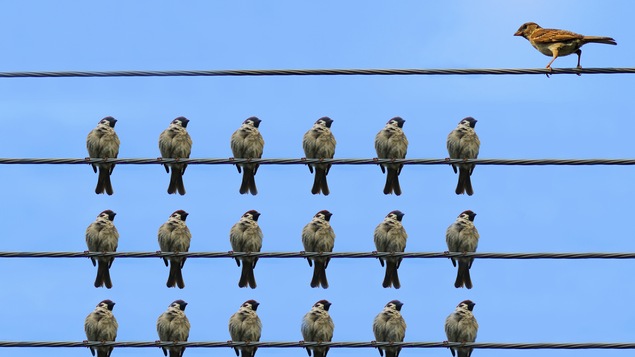 La chorale donne un sentiment d'unicité aux jeunes.