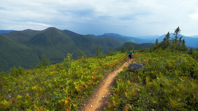 Deux personnes marchent au parc national de la Gaspésie.