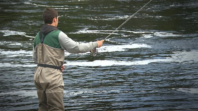 Un pêcheur dans une rivière à saumons sur la Côte-Nord Un pêcheur dans une rivière à saumons sur la Côte-Nord