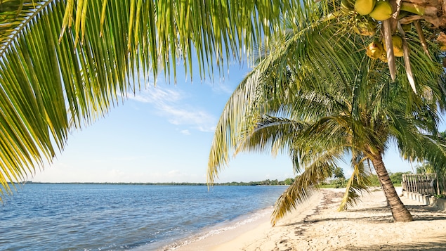Une plage de Cuba