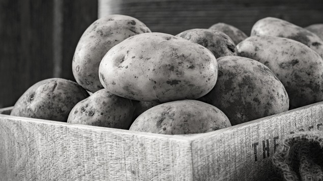 Un cageot de pommes de terre