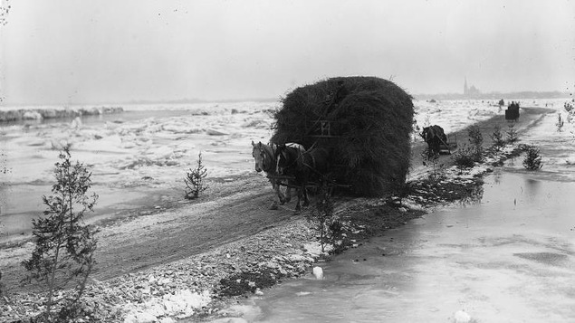 Photo en noir et blanc montrant une charrette remplie de foin tirée par deux chevaux sur un petit chemin entouré d'eau et de glace.
