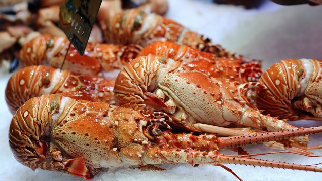 Le Nouveau-Brunswick a développé une importante activité économique liée au homard. Le Nouveau-Brunswick a développé une importante activité économique liée au homard.