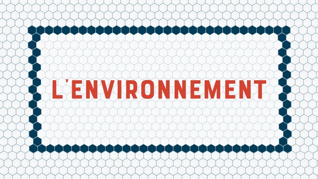 L'environnement écrit en rouge sur fond blanc.