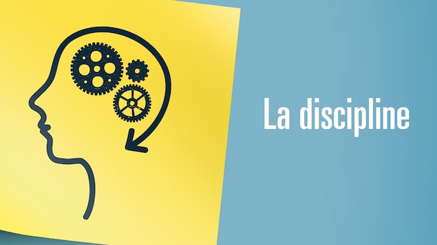 Image illustrant la discipline: des rouages tournent à l'intérieur d'une tête.