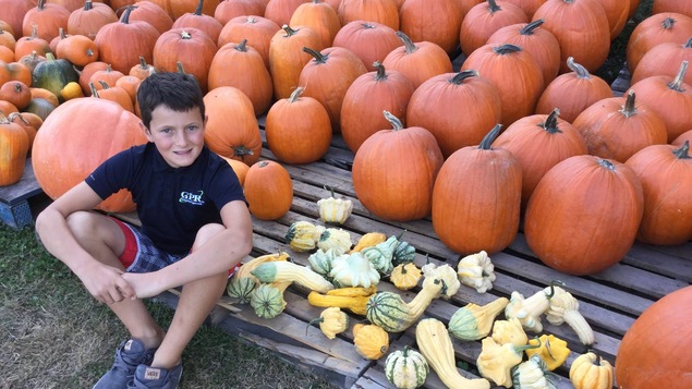 Émile Gariépy devant ses citrouilles