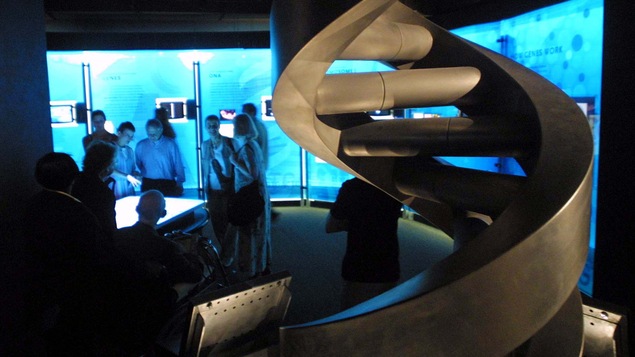 Atelier sur la génétique au Musée américain d'histoire naturelle de New York, le 15 août 2001
