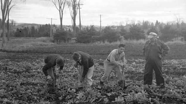 premiereplus-agriculture-1900.jpg