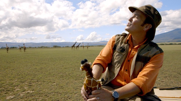 La petite girafe a fait un grand voyage.