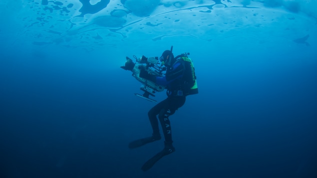 Mario Cyr en tenu de plongée sous l'eau avec une caméra