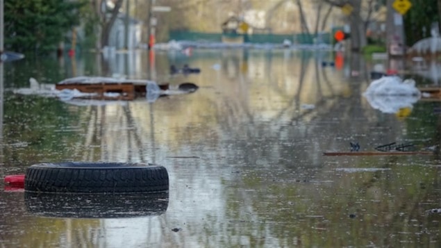 L'eau se retire, les déchets apparaissent.