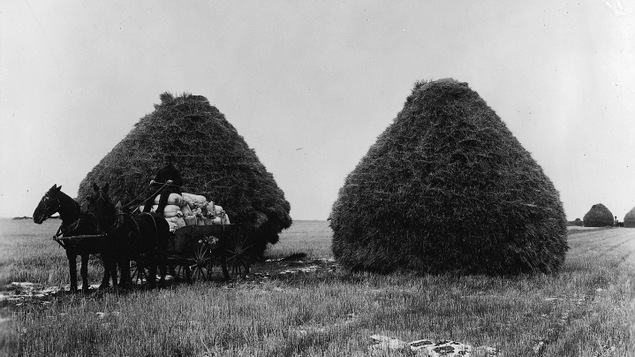 Meules de blé et charrette chargée de céréales, Portage La Prairie, Manitoba, 1887