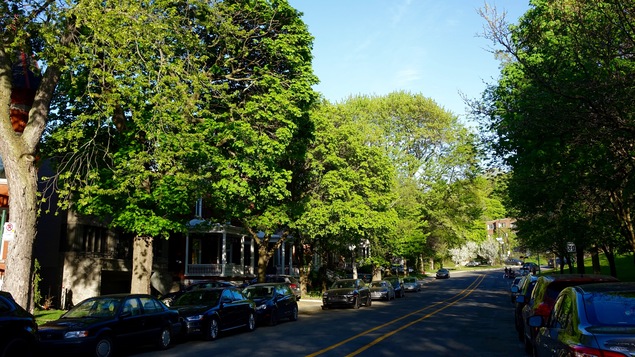 Une rue propre de l'arrondissement Outremont