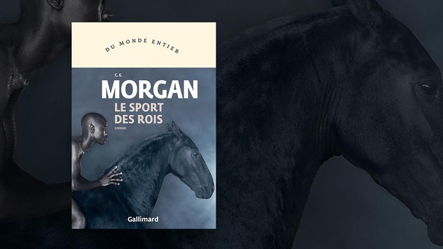Un homme est sur un étalon noir.