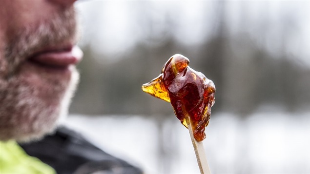 Un bâtonnet de tire d'érable avec une bouche prête à lécher le tout.