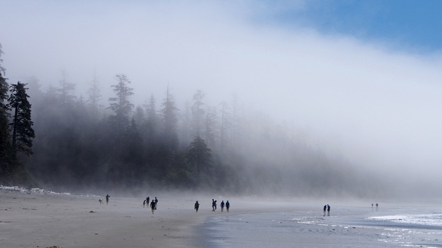 Des personnes parcourent une plage près de Tofino, en Colombie-Britannique.