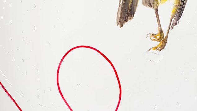 « Trajectoires aléatoires », oeuvre de l'artiste Mélissa Longpré
