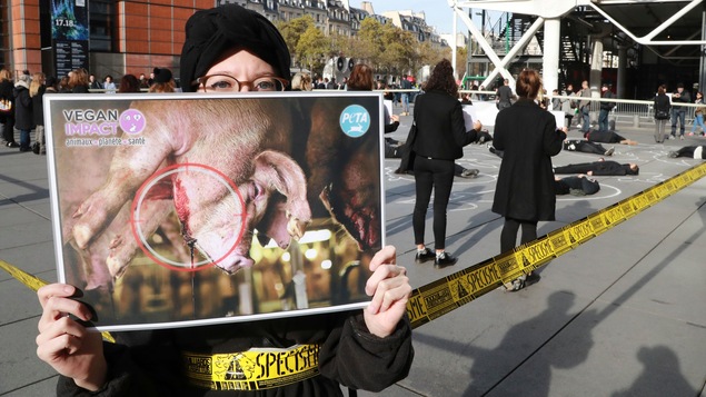Militante tenant une affiche qui dénonce l'industrie porcine lors d'une manifestation «anticarniste»
