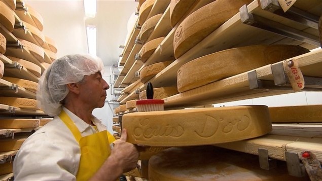 Le fromager Jean Morin procède à l'affinage du Louis D'or, un fromage maintes fois primé. Le fromager Jean Morin procède à l'affinage du Louis D'or, un fromage maintes fois primé.