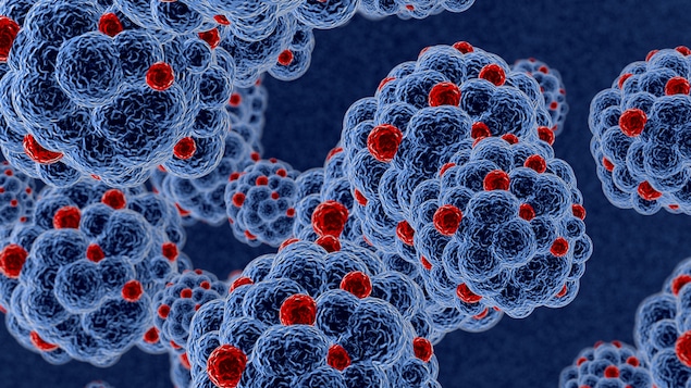Des cellules du virus du sida attaquant l'organisme