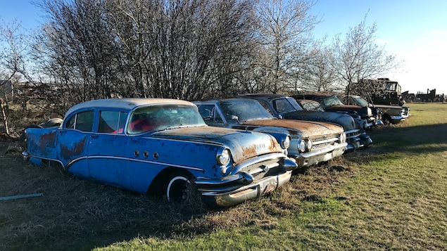 Une photo de voitures qui fait partie de la collection de la famille Gervais
