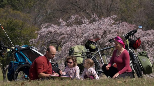 Xavier et Céline Pasche et leurs deux enfants font de la lecture au pied de cerisiers au Japon.