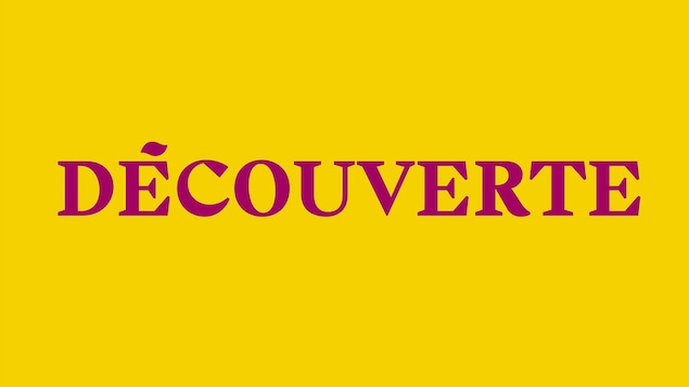 Découverte, inscription fuchsia sur fond jaune