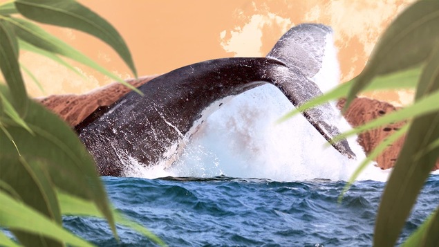 Une baleine qui sort de l'eau avec des feuilles et une montagne.