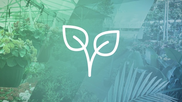 Un pictogramme de plante sur un arrière-plan de photos.