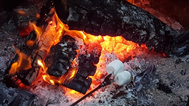 Des guimauves grillées sur un feu de camp.