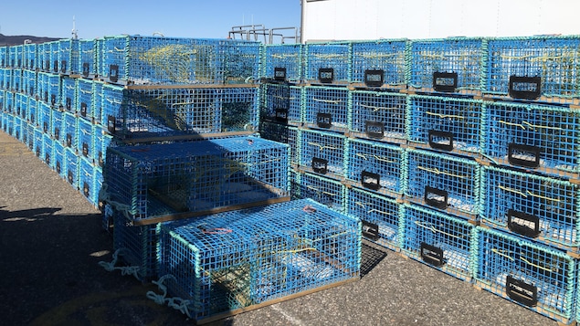 Les pêcheurs de la zone 18 applaudissent l’émission de 25 nouveaux permis de pêche exploratoires du homard sur la Côte-Nord. 