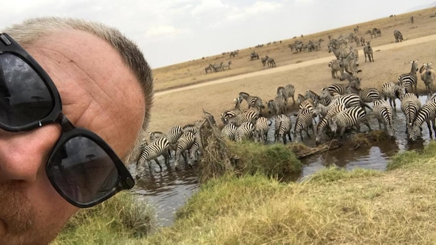 L'animateur fait une autoportrait devant les zèbres L'animateur fait une autoportrait devant les zèbres