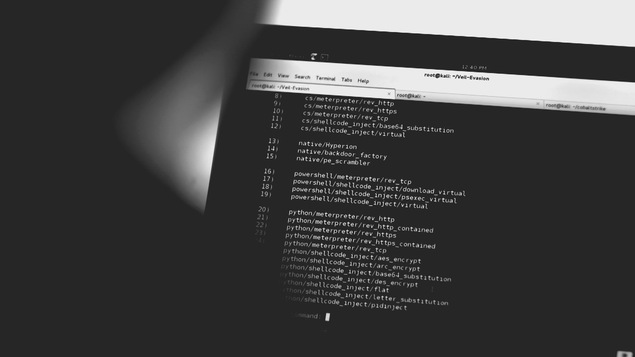 La vulnérabilité des réseaux informatiques face aux cyberattaques