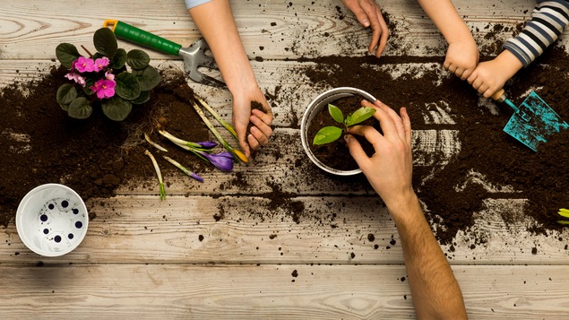 Vue en plongée : des mains d'enfants et d'adultes travaillent dans la terre. Nous apercevons également des fleurs.