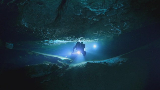 Des explorateurs observent les effets du réchauffement climatique sur les écosystèmes de l'Arctique