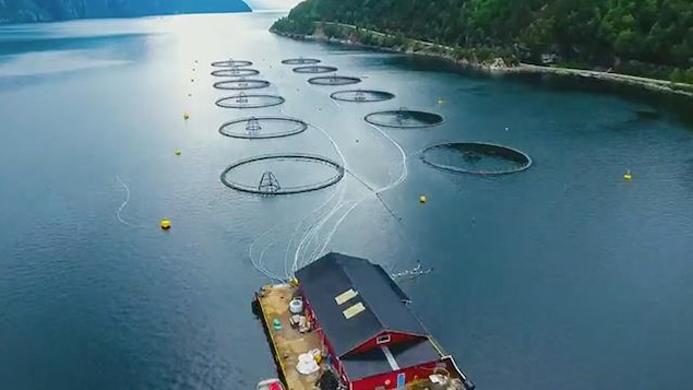 Un site d'aqualculture