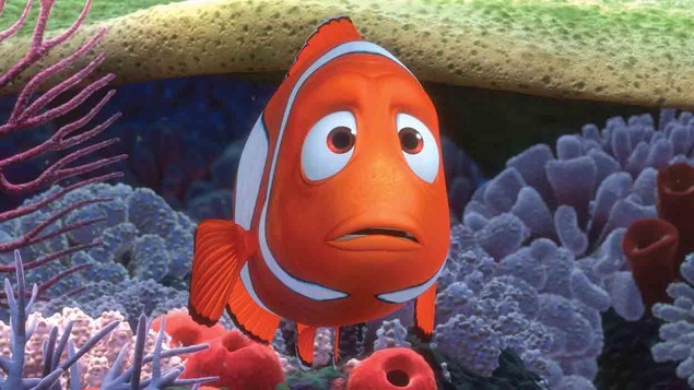 Le papa de Nemo Le papa de Nemo