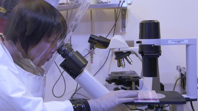 Une personne regarde dans un microscope habillée dans une combinaison stérile. Une personne regarde dans un microscope habillée dans une combinaison stérile.