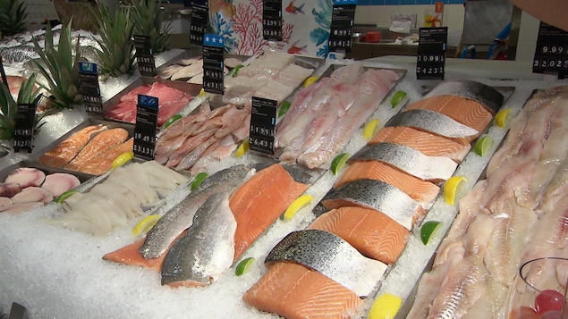 Plusieurs sortes de poissons.