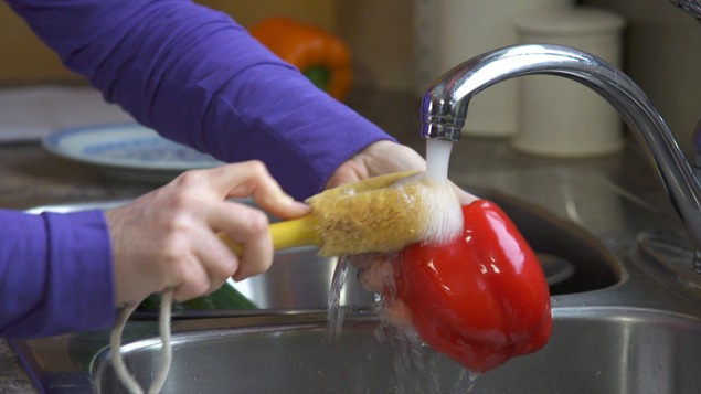 Quelqu'un frotte un poivron sous l'eau avec une brosse. Quelqu'un frotte un poivron sous l'eau avec une brosse.