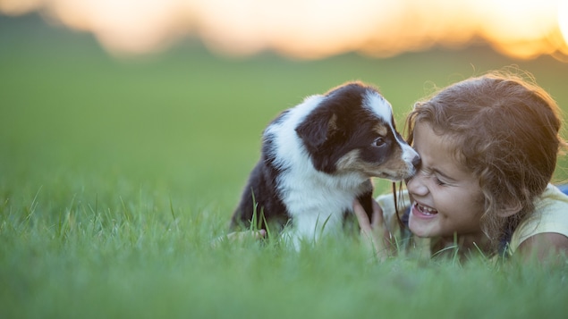 Ils sont assis dans l'herbe et le chien se montre câlin. Ils sont assis dans l'herbe et le chien se montre câlin.