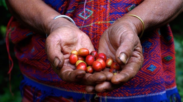 Le commerce équitable change la vie des petits producteurs.