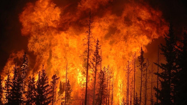 Une forêt flambe suite à un incendie contrôlé allumé par Sustainable Resource Alberta en 2009.
