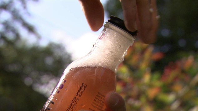 Le kombucha est de plus en plus populaire.