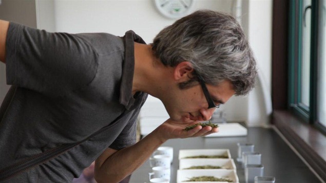 Jasmin Desharnais en voyage de dégustation en Chine en 2013 avec l'équipe de <em>La semaine verte</em>