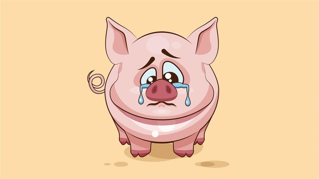 Avec la Boucherie émotive, vous saurez toujours quand vous mangerez un cochon triste.