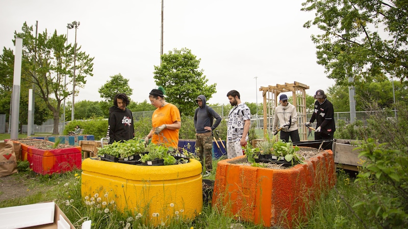 De jeunes bénévoles travaillent dans un jardin.